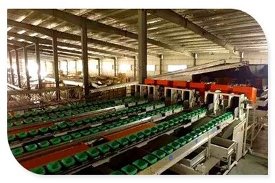 从田间到全球餐桌 单样水果年销3亿的农产品销售传奇