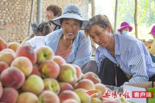 安钢集团驻村工作队精准施策，为李大晁村农产品销售注入新动能