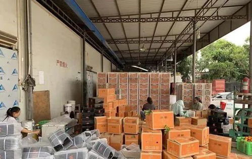 五一临近沃柑价格上扬，冷库果入市为农产品销售注入新活力