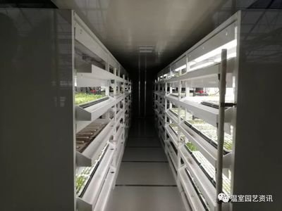 探秘京东植物工厂 产销一体化，破解农产品销售难题