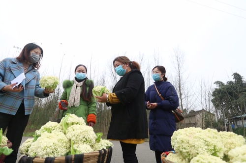 我市构建“123工作体系”助力农产品销售实现新突破