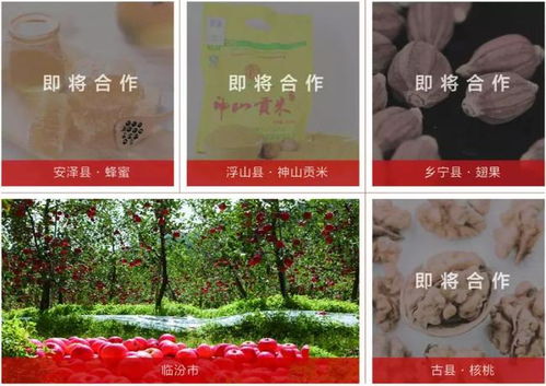 三大渠道助力山西贫困县农产品销售脱贫