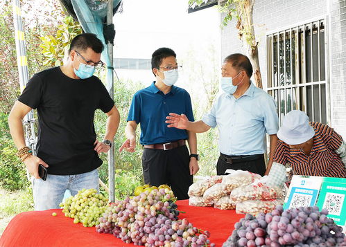 农头带动销售，疫路畅通民生 新路径助力农产品突围