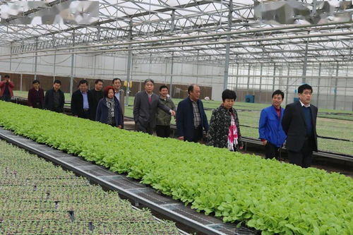 阳谷县与莘县积极筑牢农产品质量安全监管体系建设 保障农产品销售安全