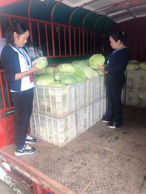 习水产投集团 多措并举助力滞销农产品拓宽销路