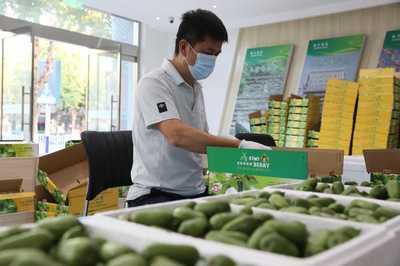 河北顺平 电商助力农产品打开“云”销路